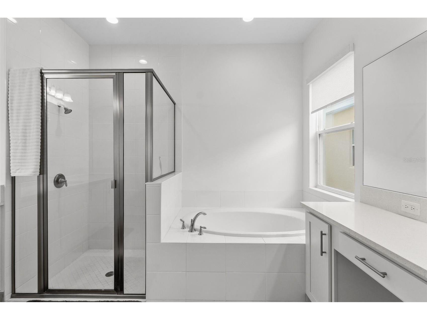 32588 Tree Of Life Avenue Wesley Chapel FL 33543 W7884190 image23