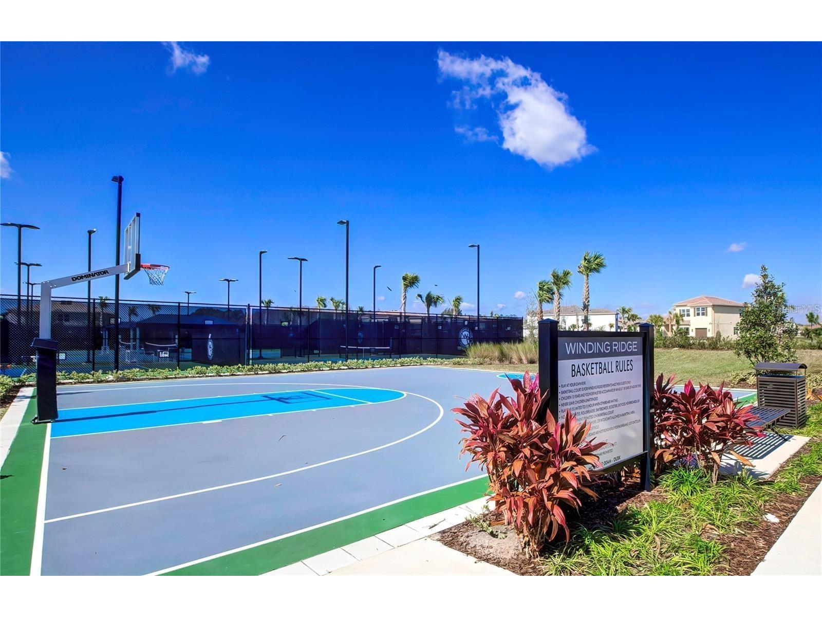 32588 Tree Of Life Avenue Wesley Chapel FL 33543 W7884190 image57