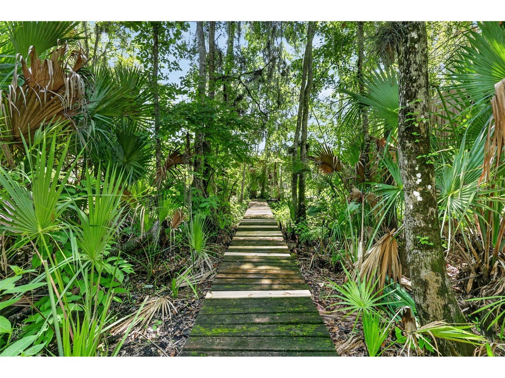 32589 Okaloosa Trail Sorrento FL 32776 - WEKIVA RIVER O6416704 image39