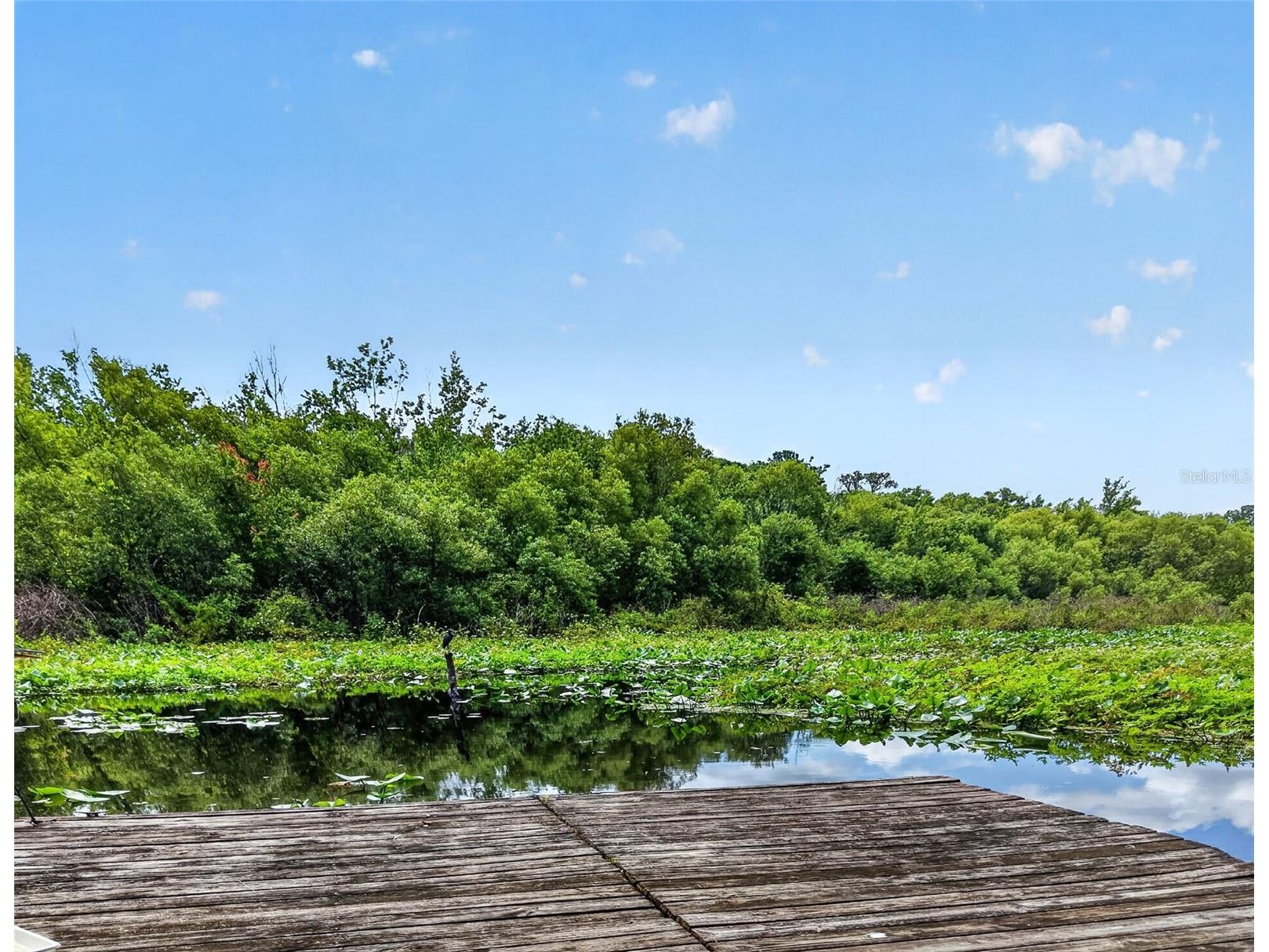 32589 Okaloosa Trail Sorrento FL 32776 - WEKIVA RIVER O6416704 image40