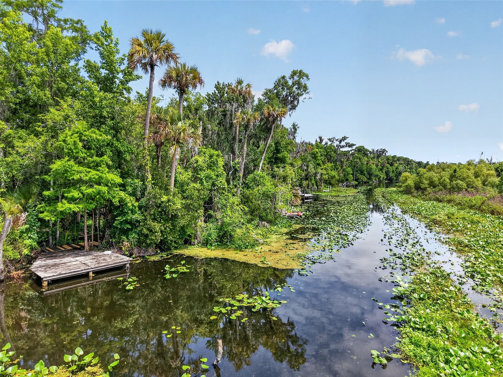 32589 Okaloosa Trail Sorrento FL 32776 - WEKIVA RIVER O6416704 image41