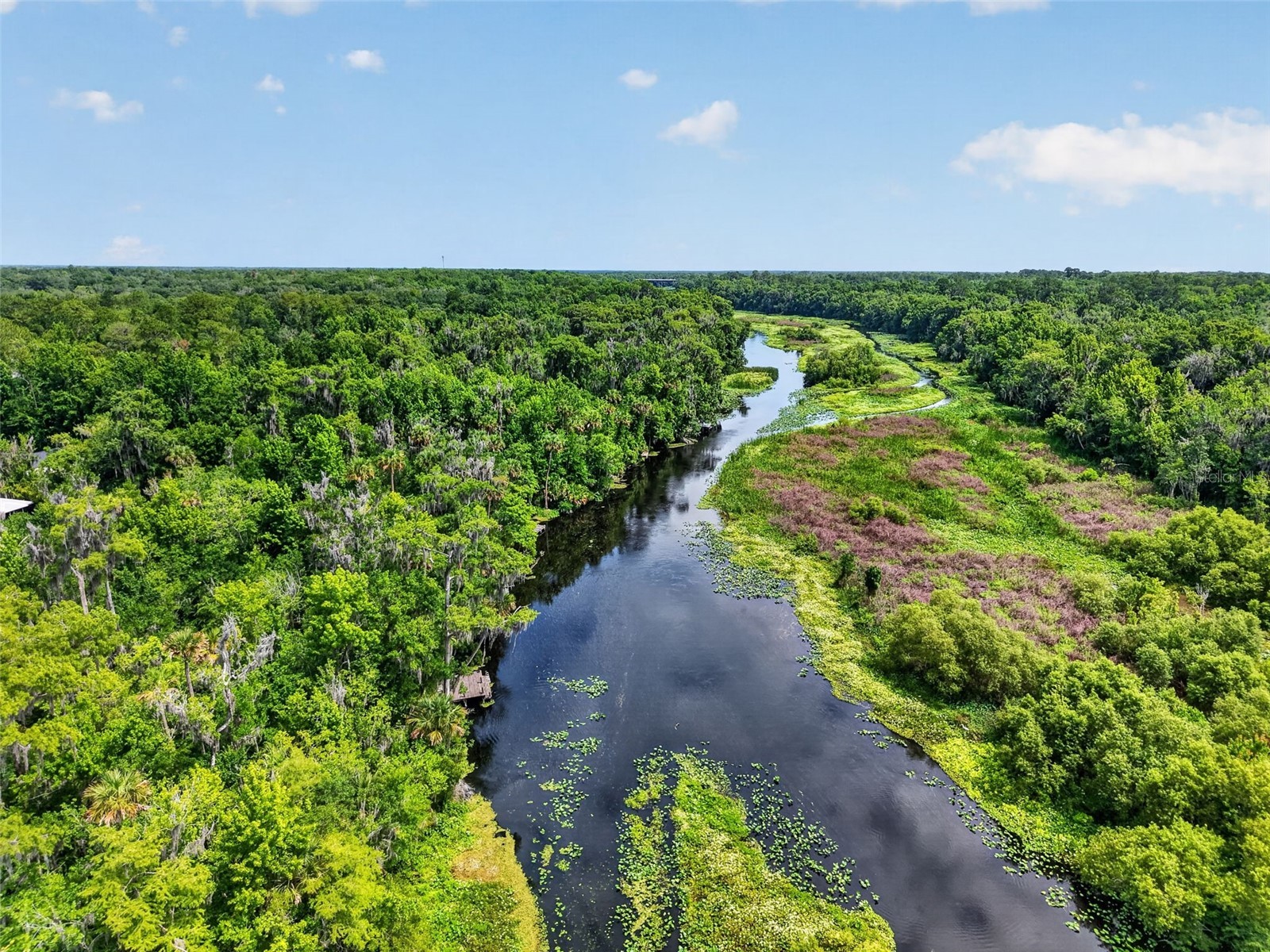 32589 Okaloosa Trail Sorrento FL 32776 - WEKIVA RIVER O6416704 image42