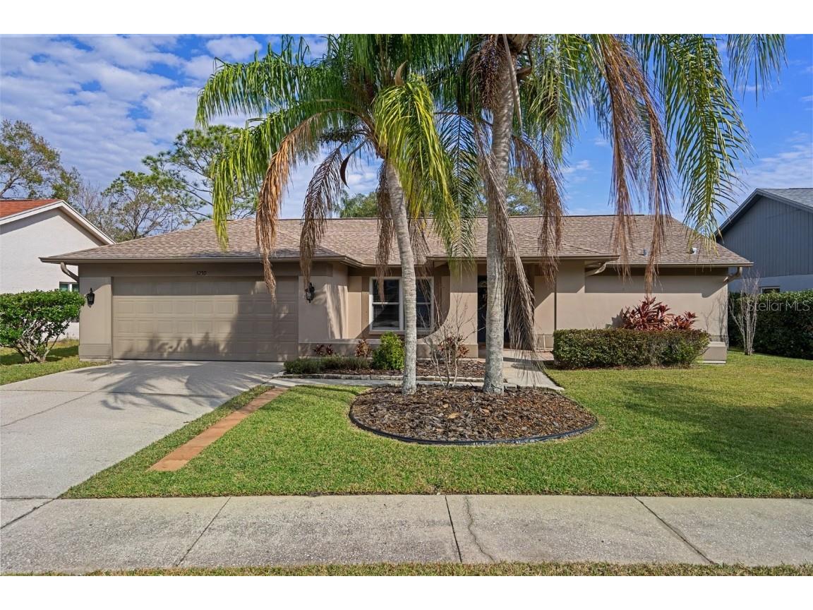 3259 Glenridge Drive Palm Harbor FL 34685 TB8338648 image1