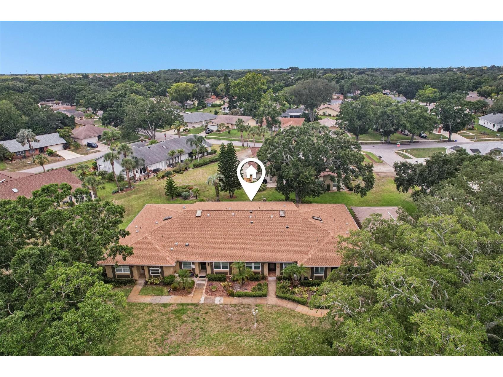 3259 Hilary Circle #1C Palm Harbor FL 34684 TB8518759 image53