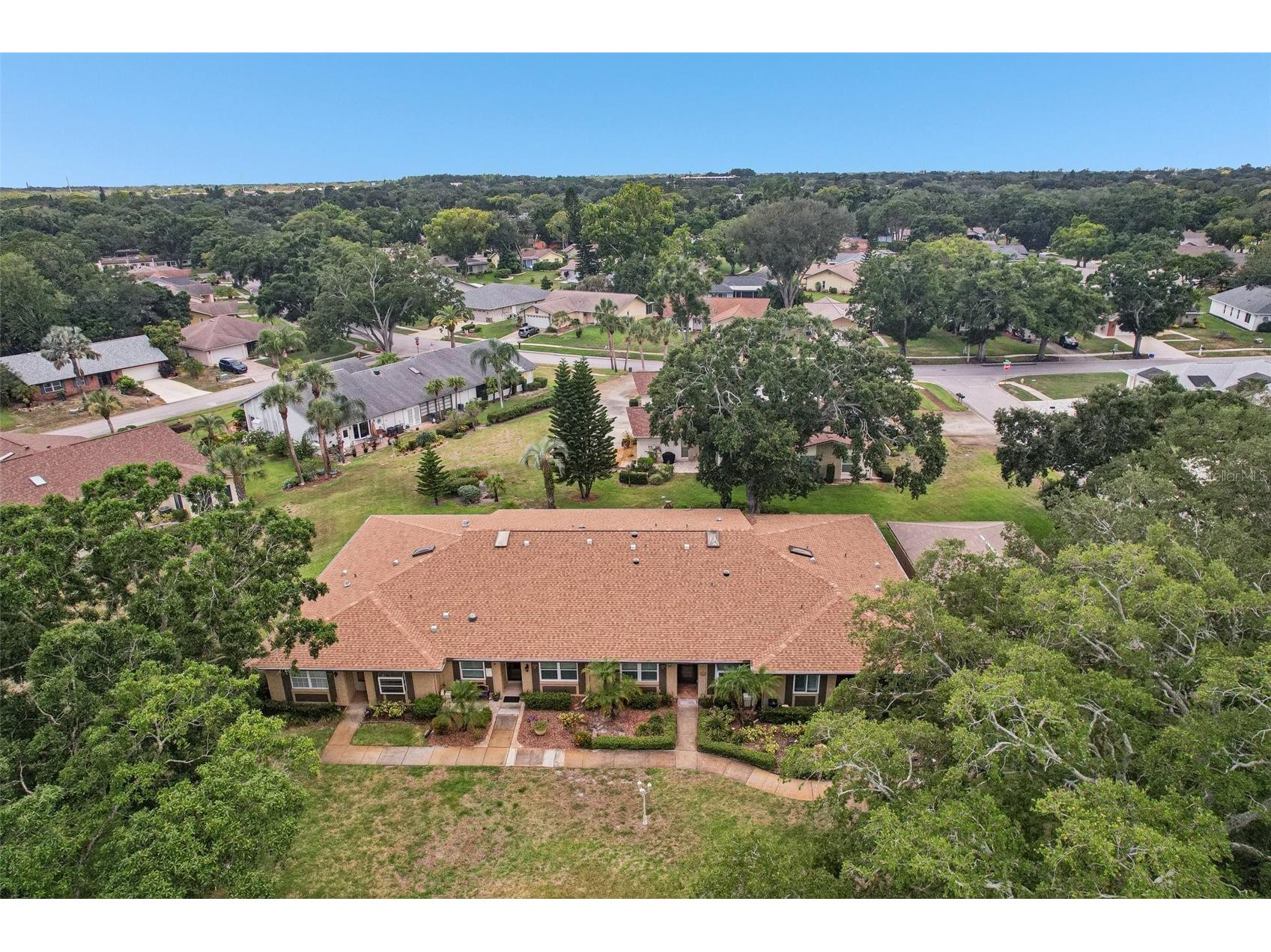 3259 Hilary Circle #1C Palm Harbor FL 34684 TB8518759 image55
