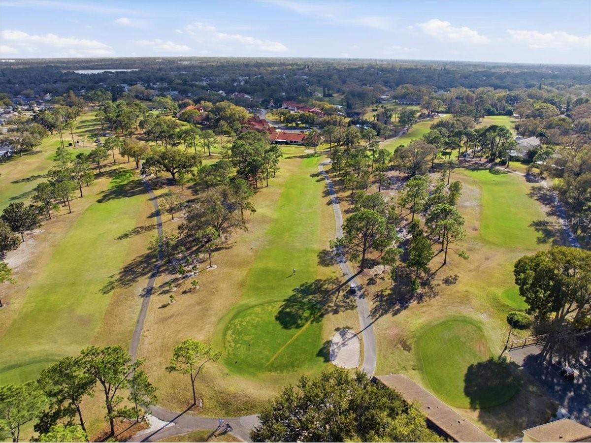 3259 Hilary Circle #1C Palm Harbor FL 34684 TB8518759 image65