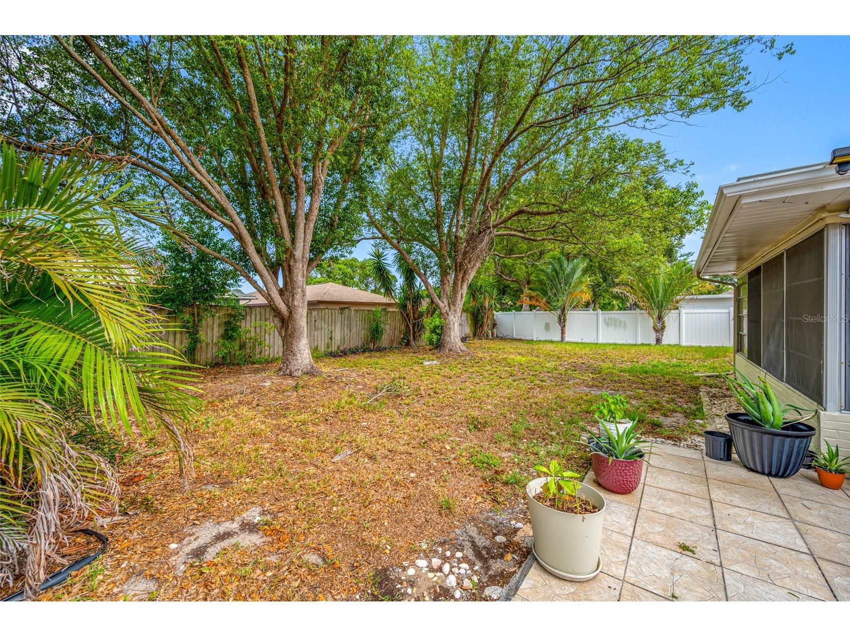 3259 Parkway Place Palm Harbor FL 34684 TB8528743 image4