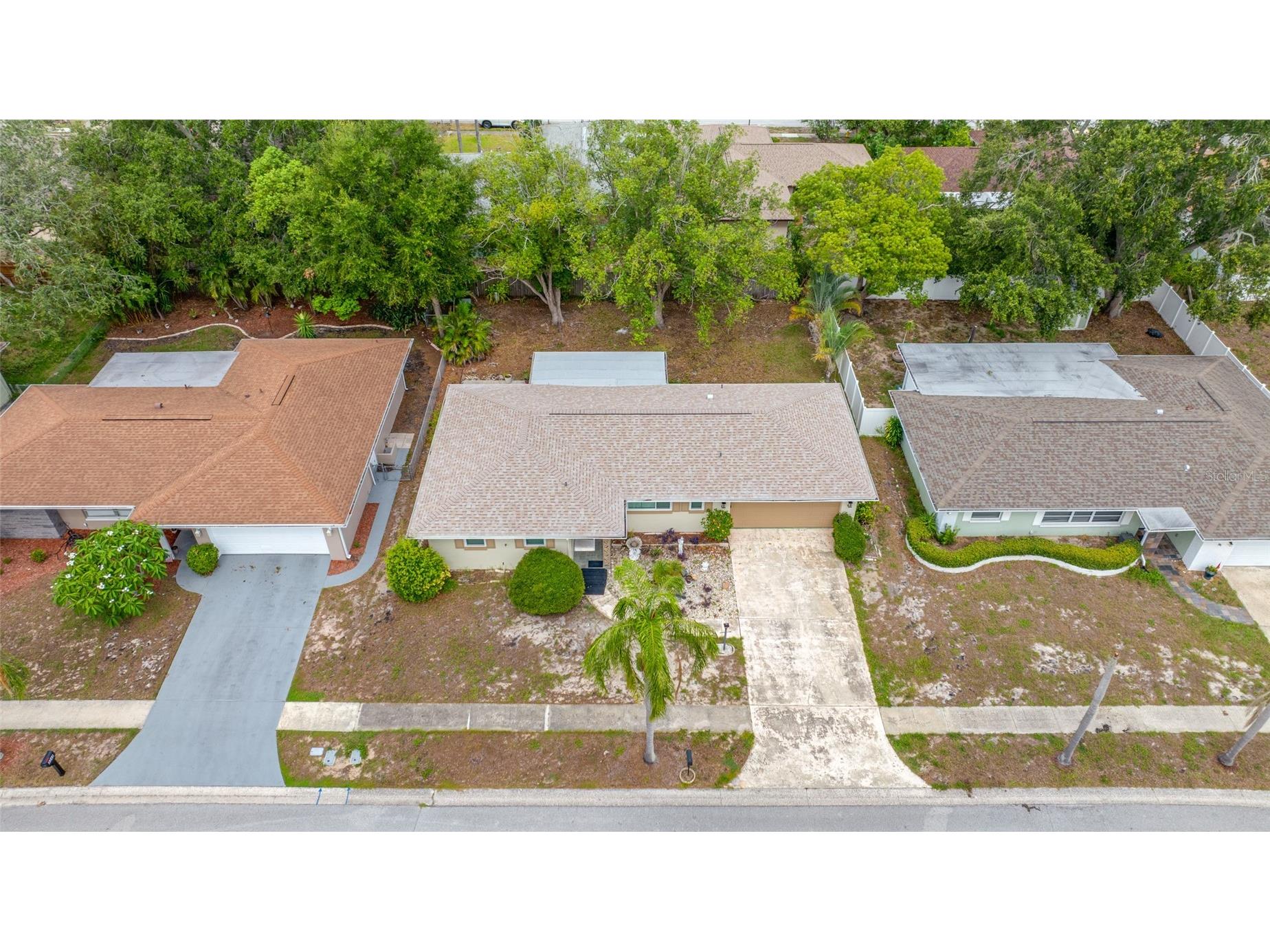 3259 Parkway Place Palm Harbor FL 34684 TB8528743 image52