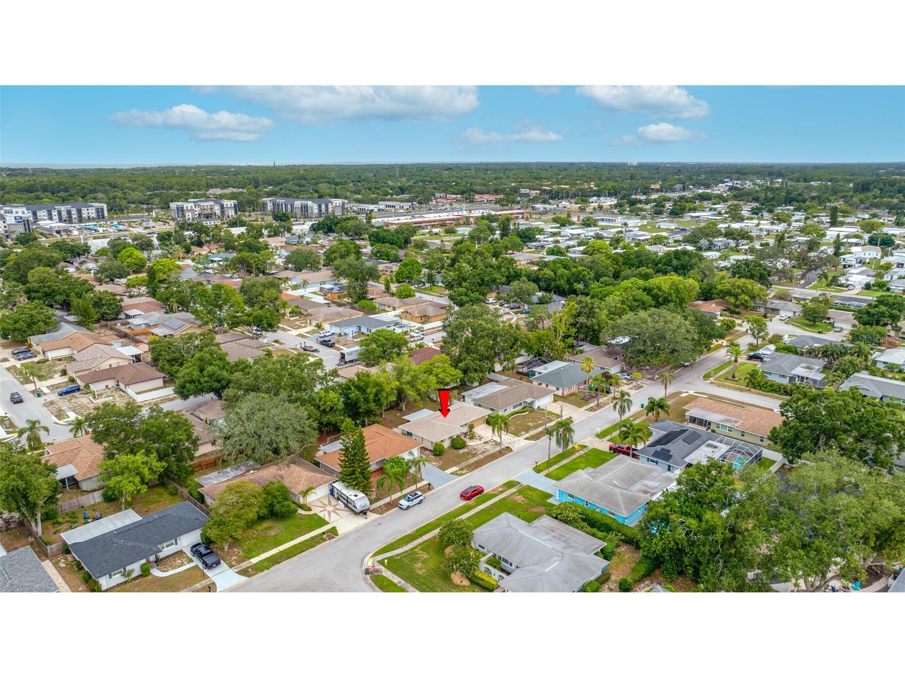 3259 Parkway Place Palm Harbor FL 34684 TB8528743 image54