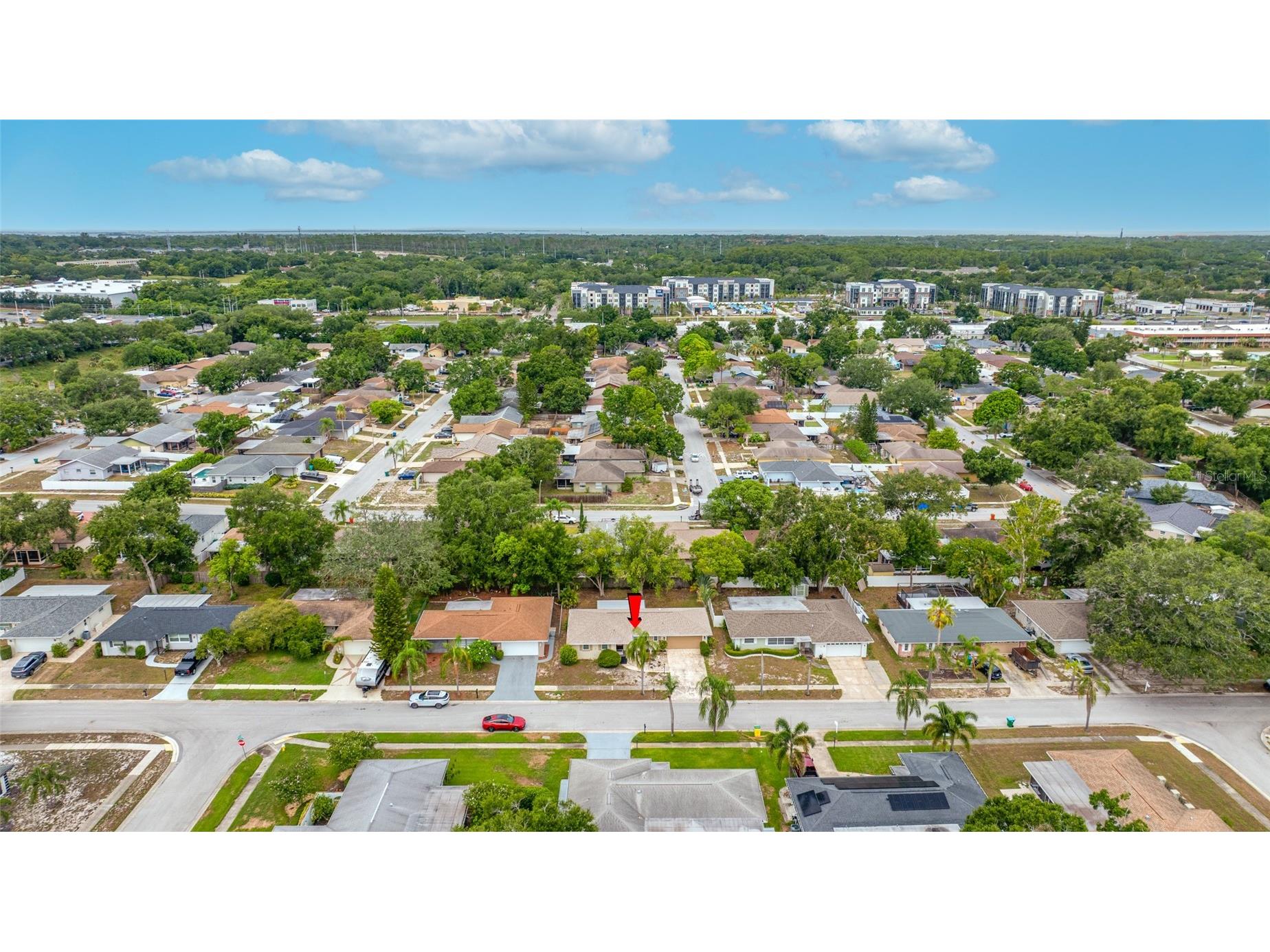 3259 Parkway Place Palm Harbor FL 34684 TB8528743 image55