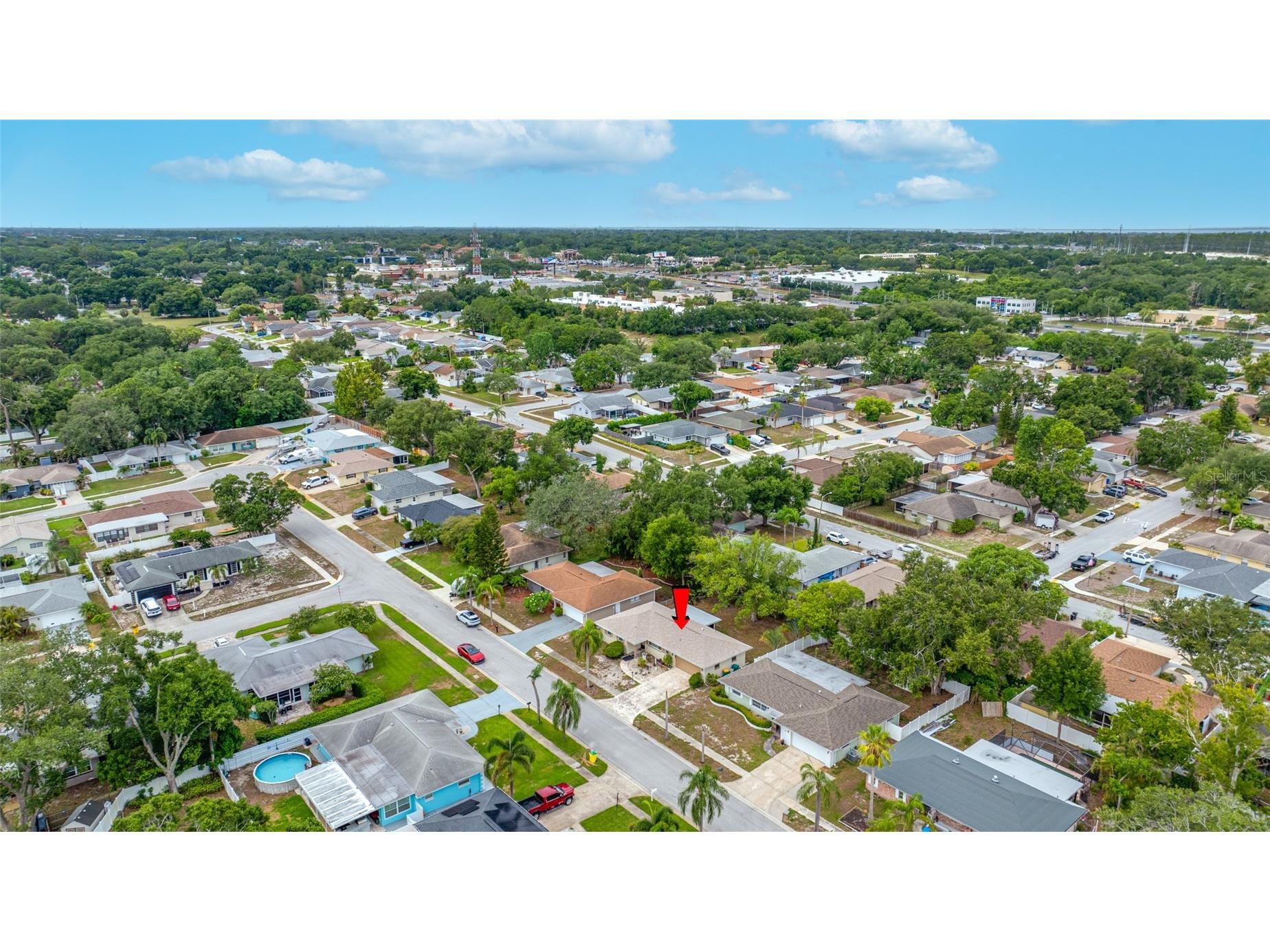 3259 Parkway Place Palm Harbor FL 34684 TB8528743 image56