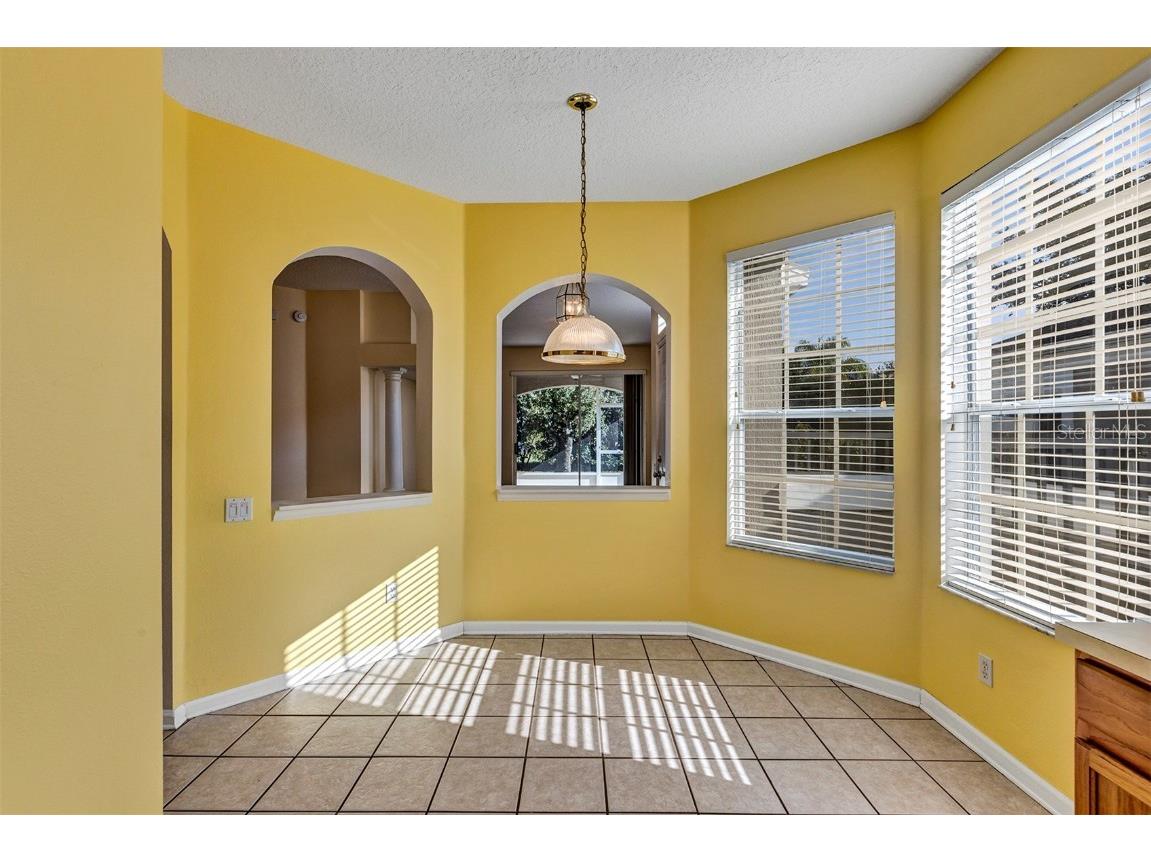 3259 River Branch Circle Kissimmee FL 34741 O6361282 image16