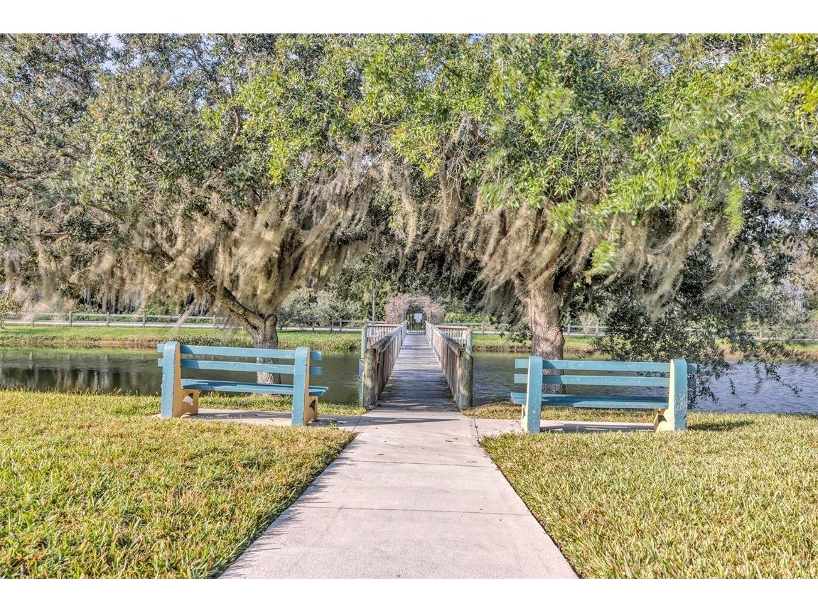 3259 River Branch Circle Kissimmee FL 34741 O6361282 image46