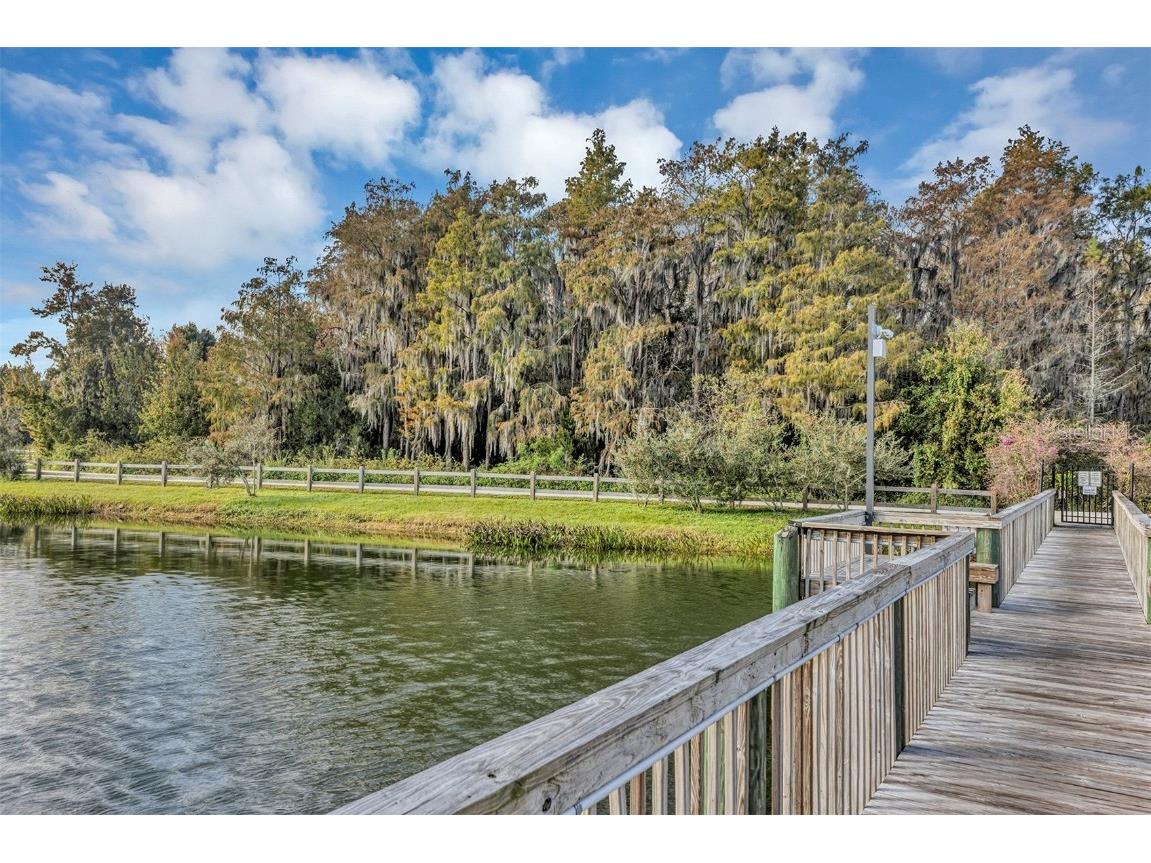 3259 River Branch Circle Kissimmee FL 34741 O6361282 image47