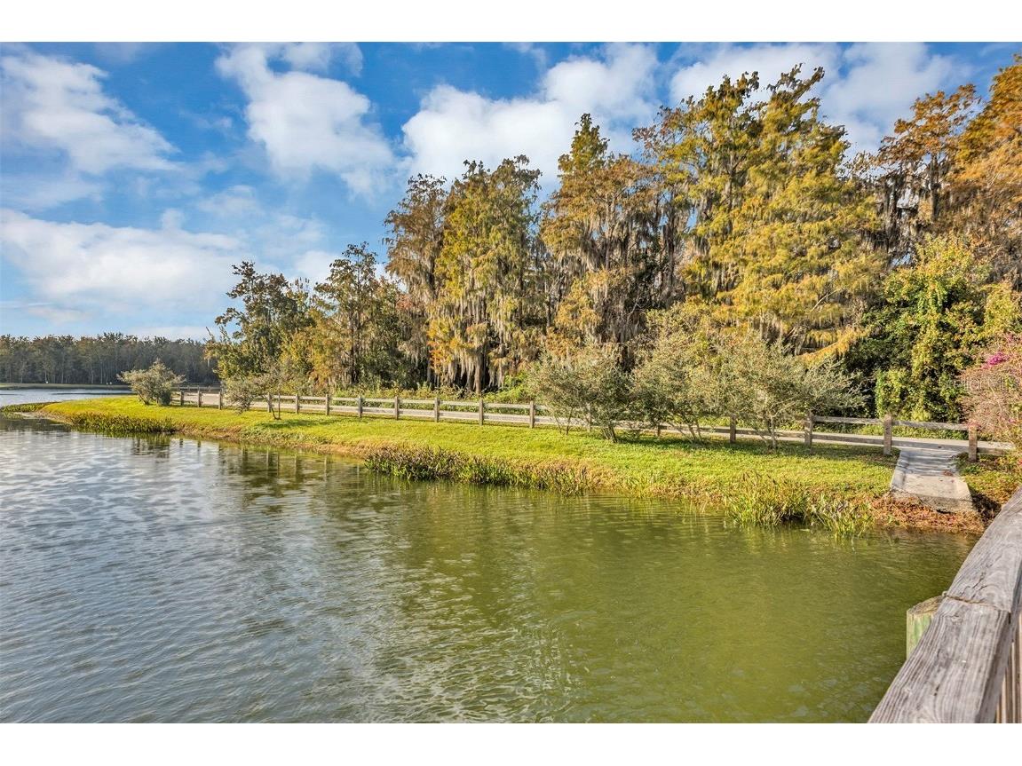 3259 River Branch Circle Kissimmee FL 34741 O6361282 image48