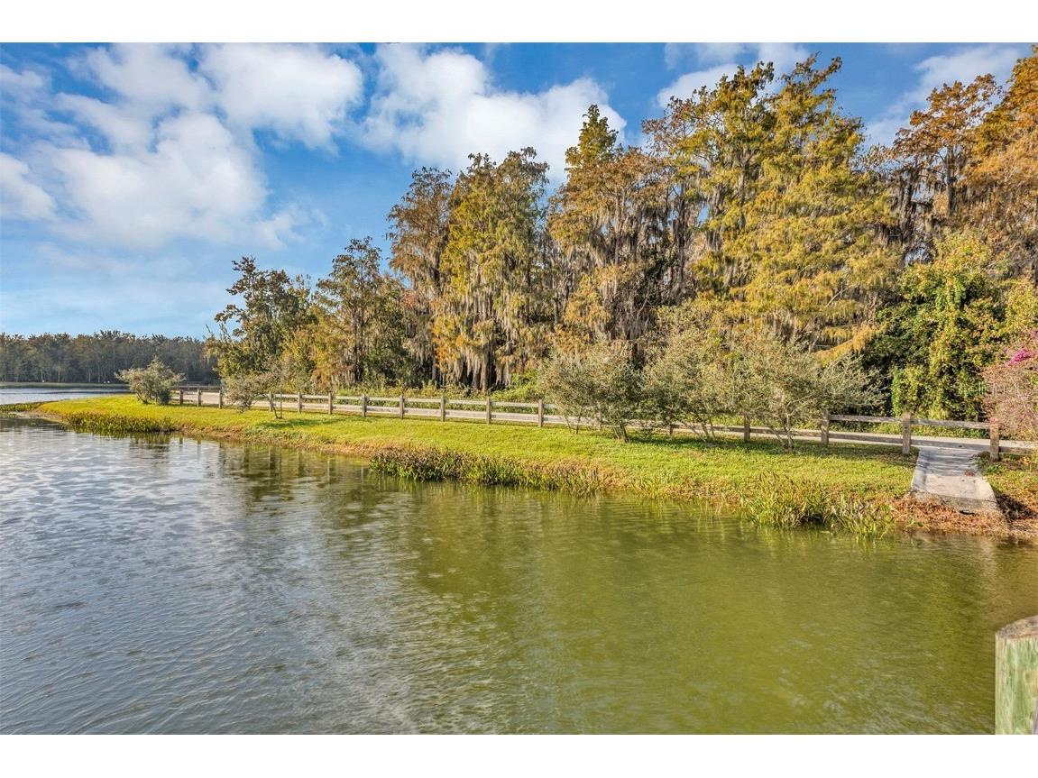 3259 River Branch Circle Kissimmee FL 34741 O6361282 image49