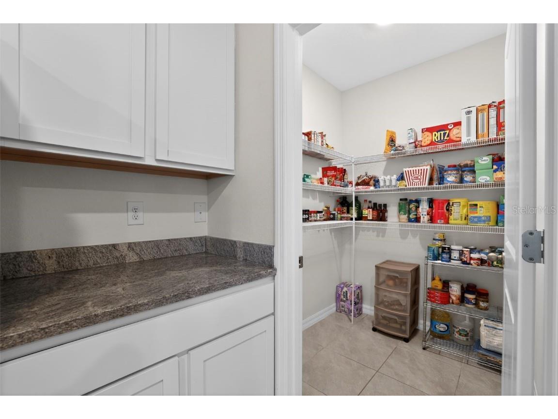 32597 Canyonlands Drive Wesley Chapel FL 33543 O6364794 image10