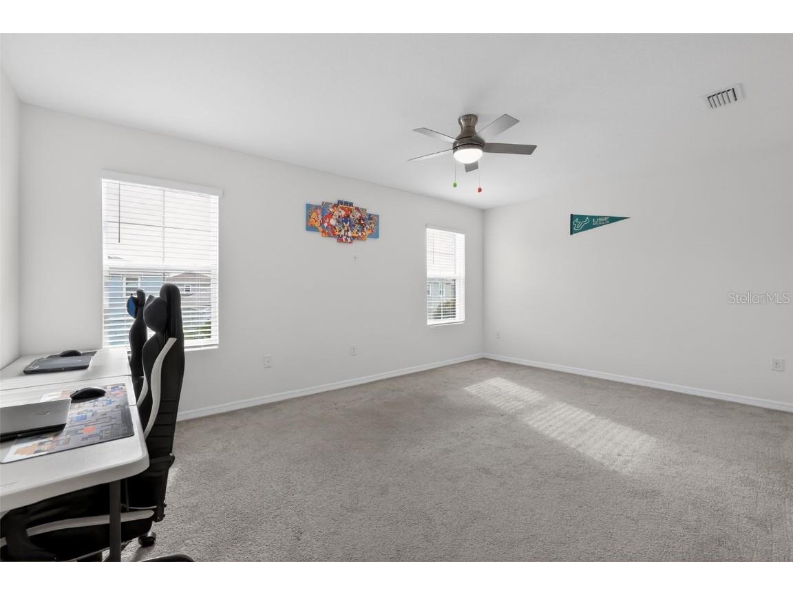 32597 Canyonlands Drive Wesley Chapel FL 33543 O6364794 image21