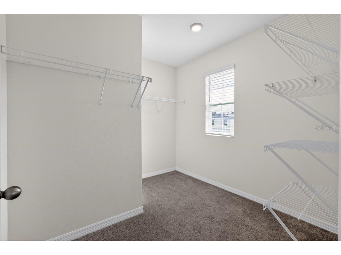 32597 Canyonlands Drive Wesley Chapel FL 33543 O6364794 image26