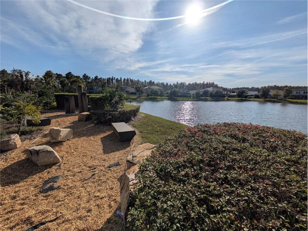 32597 Canyonlands Drive Wesley Chapel FL 33543 O6364794 image42