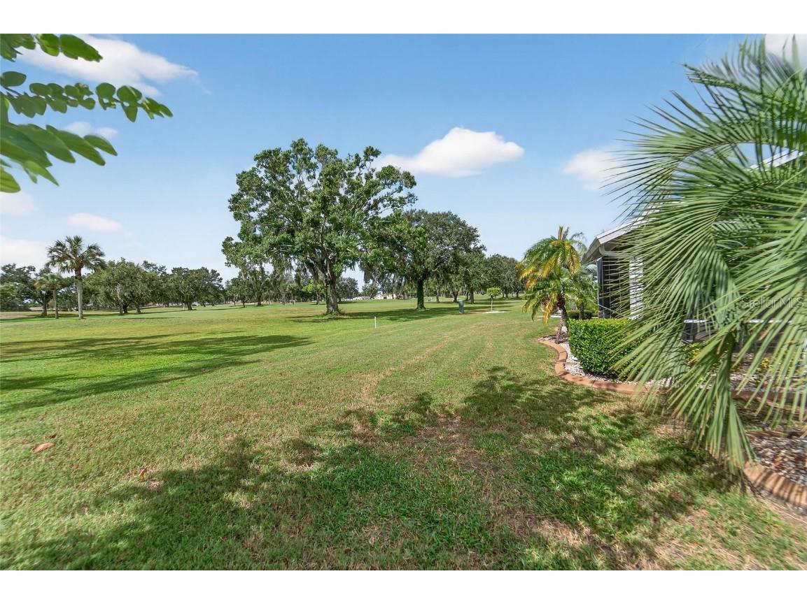 326 Caloosa Palms Court Sun City Center FL 33573 TB8436751 image52