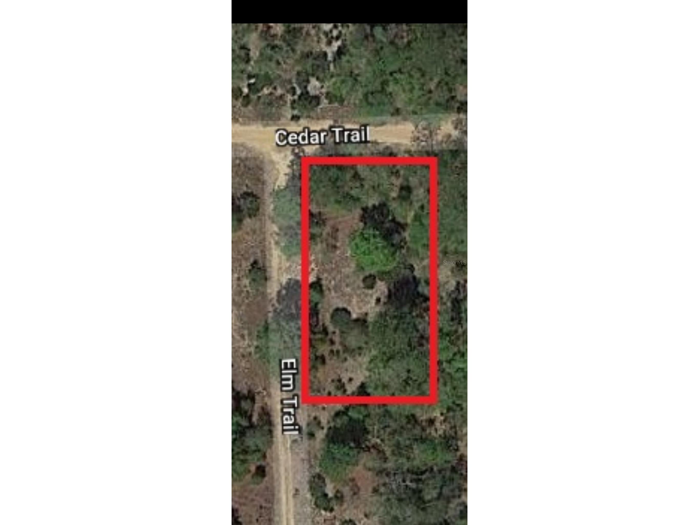 326 Elm Trail Interlachen FL 32148 TB8480353 image1