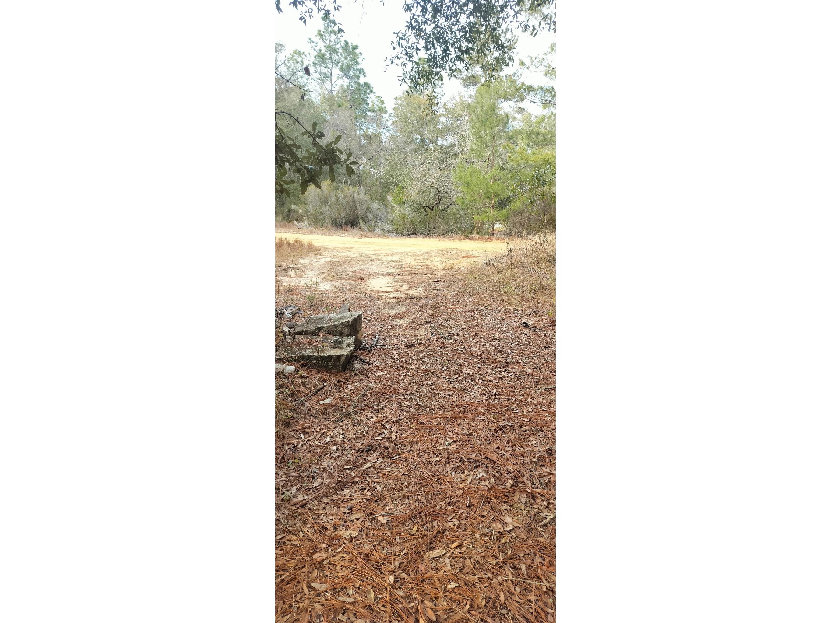 326 Elm Trail Interlachen FL 32148 TB8480353 image4