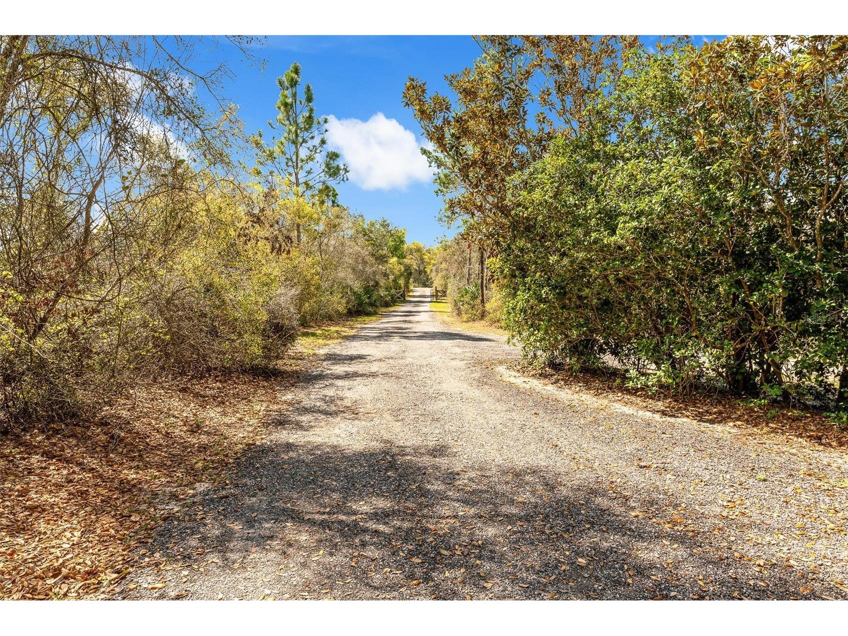 326 Enterprise Osteen Road Osteen FL 32764 V4948058 image28