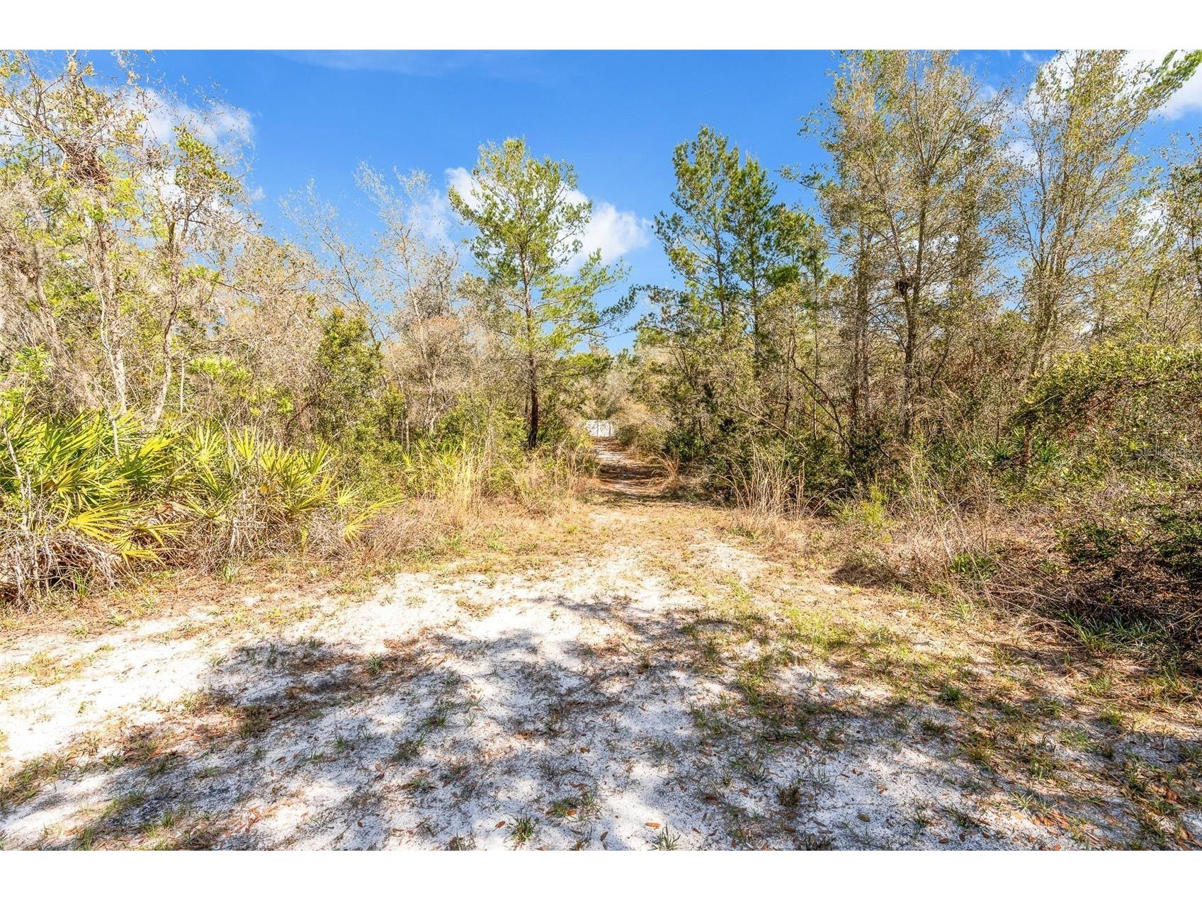 326 Enterprise Osteen Road Osteen FL 32764 V4948058 image31