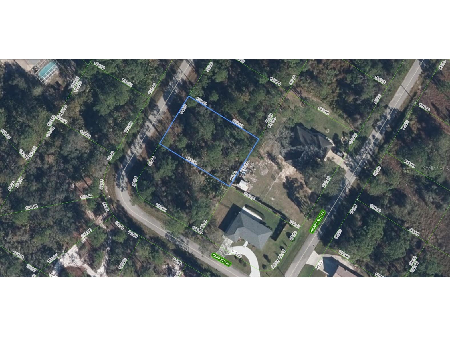 326 Guymon Avenue NW Lake Placid FL 33852 A4695233 image1