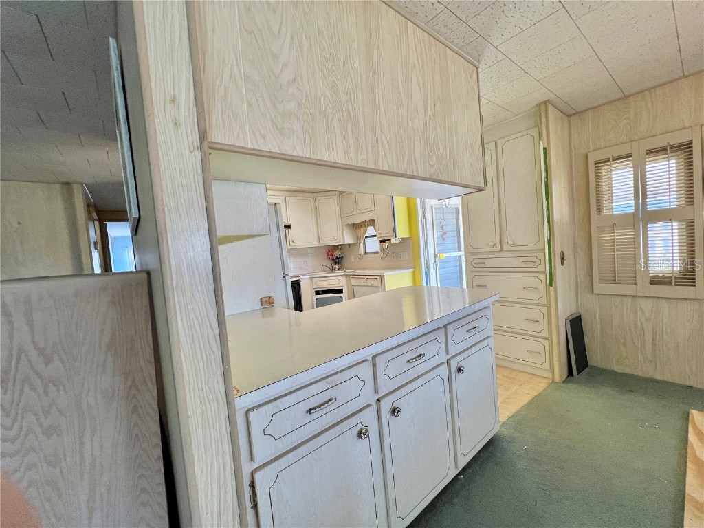 326 Hawthorne Boulevard Leesburg FL 34748 G5104619 image30