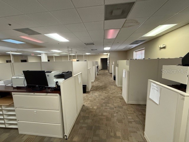 326 N Mills Avenue Orlando FL 32803 O6415603 image19