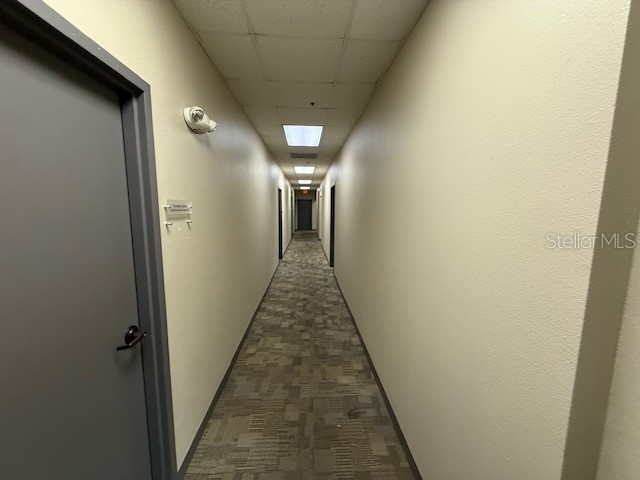 326 N Mills Avenue Orlando FL 32803 O6415603 image22