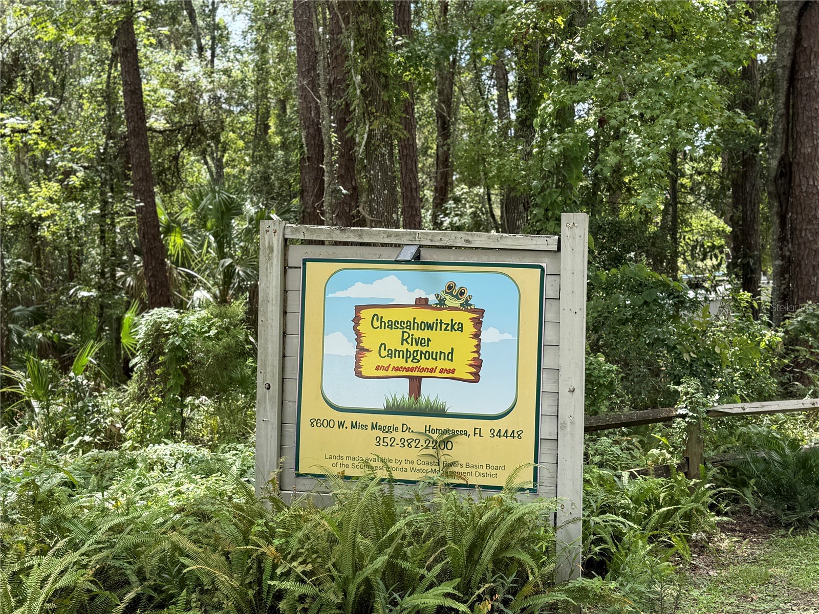 326 W Homeway Loop Citrus Springs FL 34434 W7881655 image29