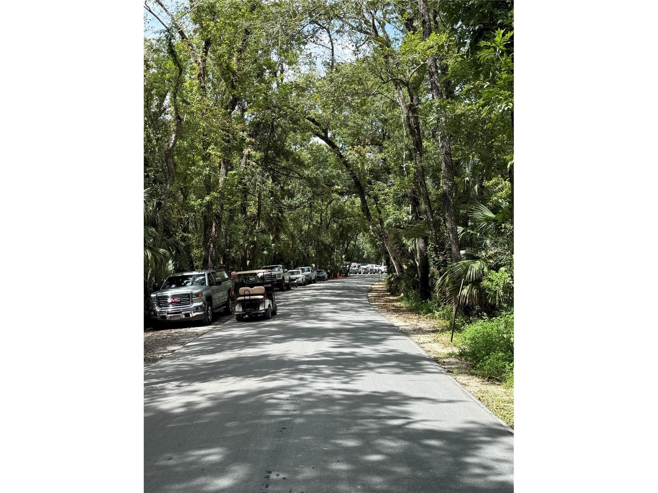 326 W Homeway Loop Citrus Springs FL 34434 W7881655 image31