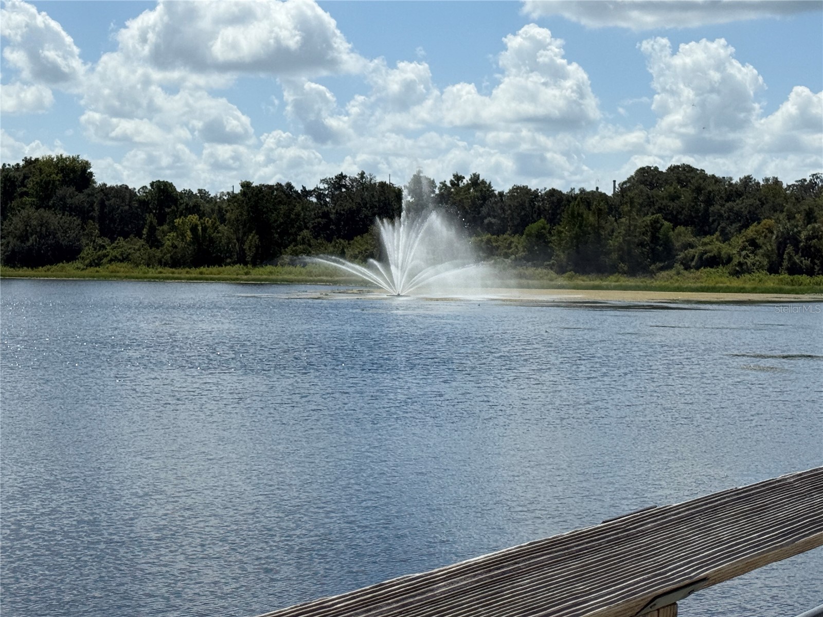 326 W Homeway Loop Citrus Springs FL 34434 W7881655 image4