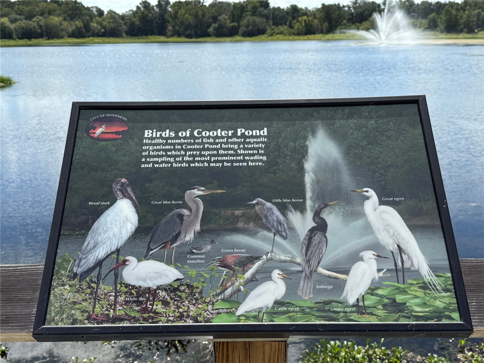 326 W Homeway Loop Citrus Springs FL 34434 W7881655 image5