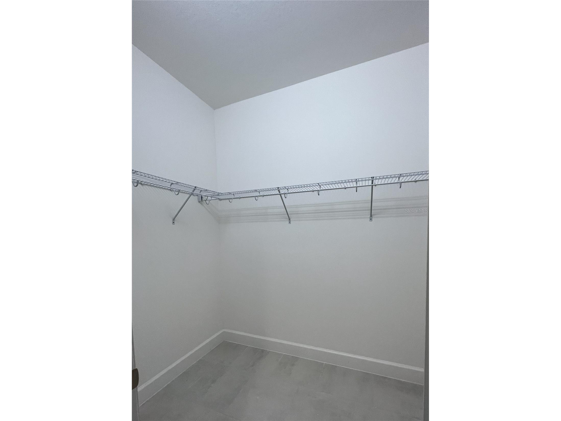 3260 Great Banyan Way Wesley Chapel FL 33543 A4678748 image15