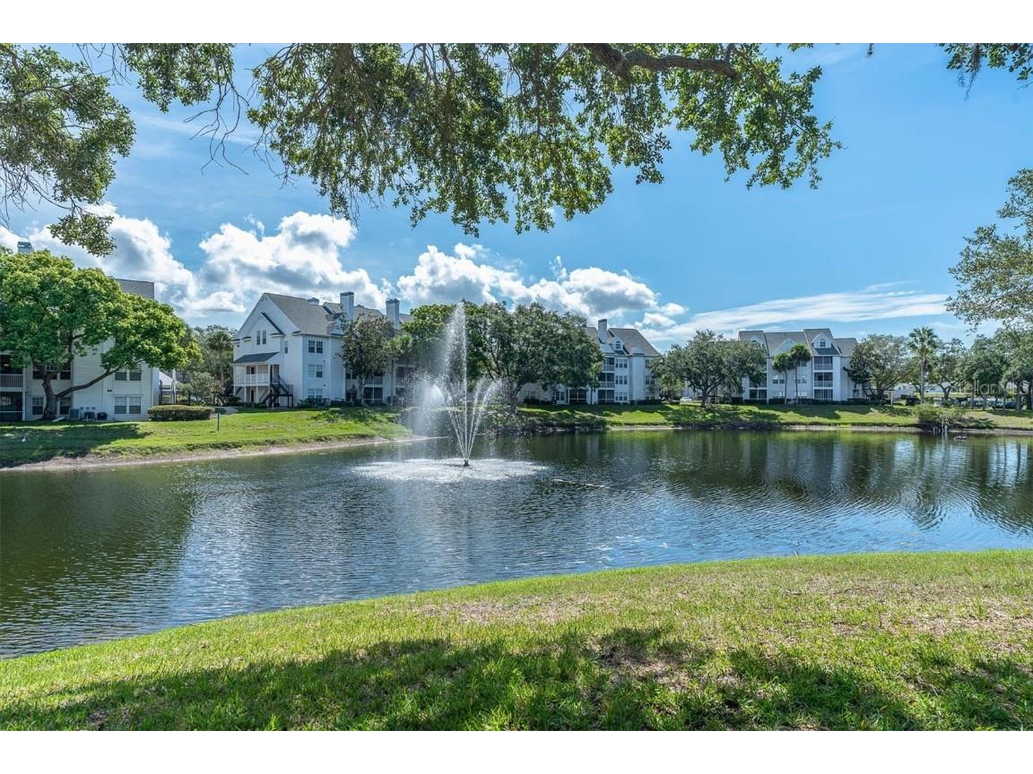 3260 Haviland Court #102 Palm Harbor FL 34684 TB8449705 image6