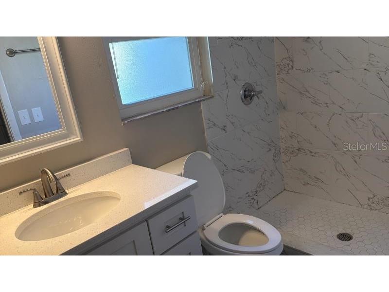 3260 Mary Lane Mount Dora FL 32757 O6422842 image12
