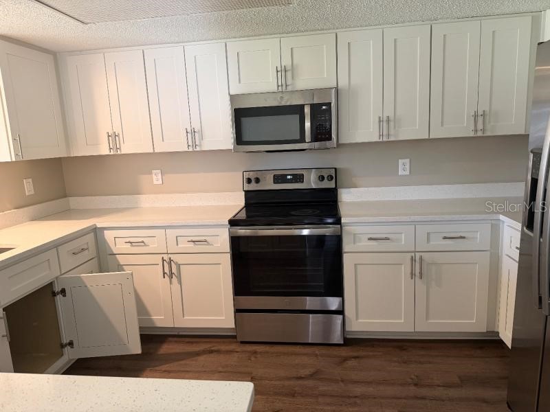 3260 Mary Lane Mount Dora FL 32757 O6422842 image4