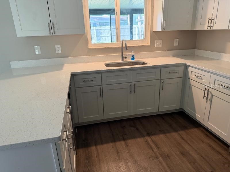3260 Mary Lane Mount Dora FL 32757 O6422842 image5