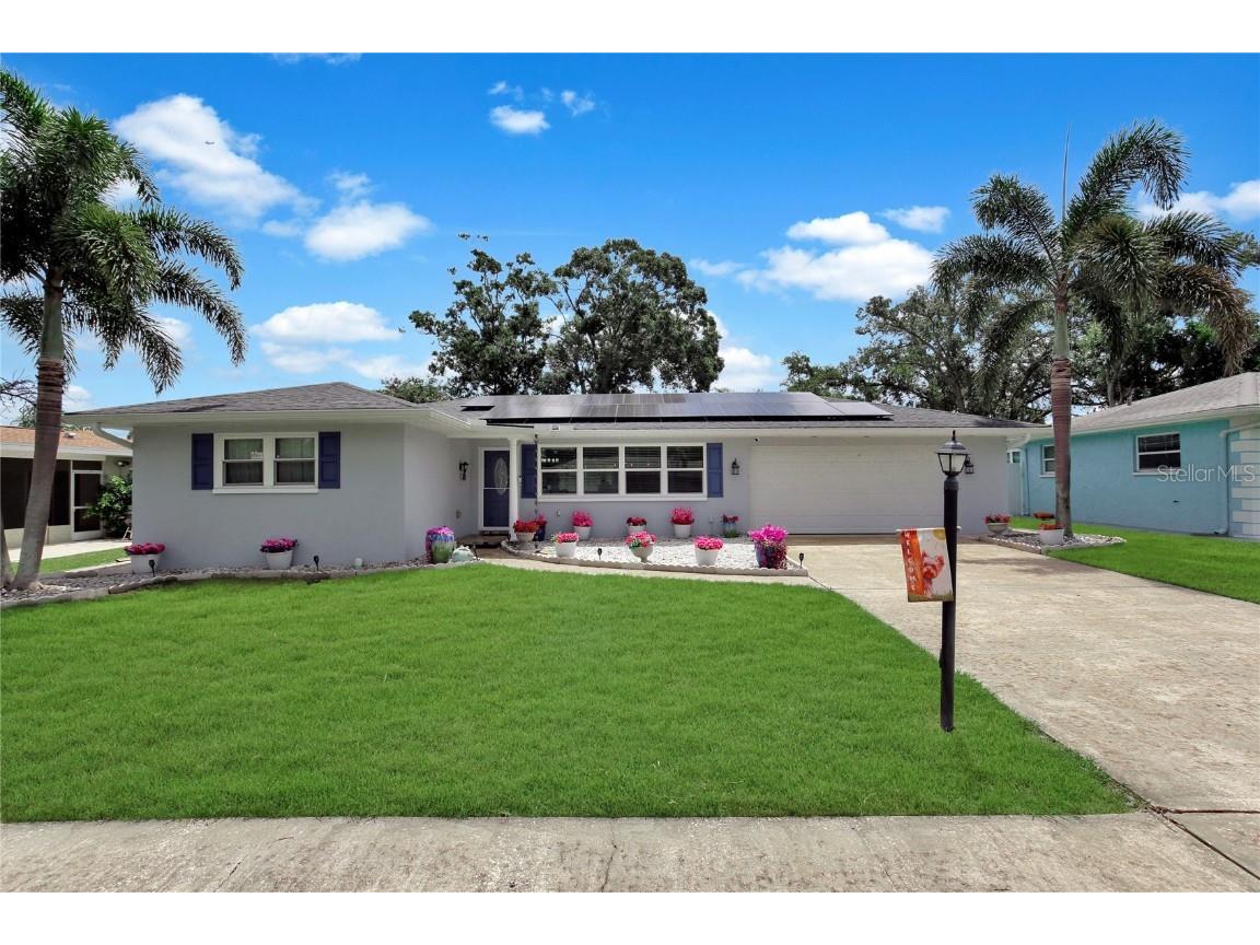 3260 Parkway Place Palm Harbor FL 34684 TB8438213 image2