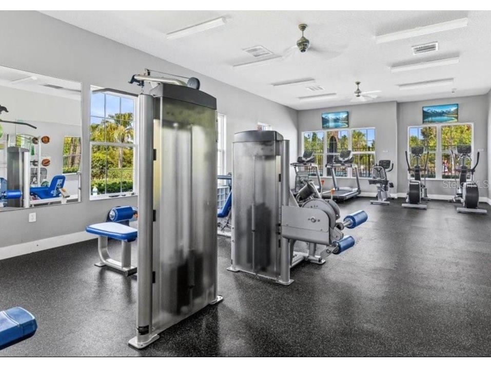 32606 Canyonlands Drive Wesley Chapel FL 33543 TB8448676 image35