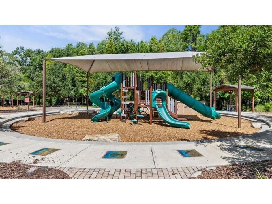 32606 Canyonlands Drive Wesley Chapel FL 33543 TB8448676 image36