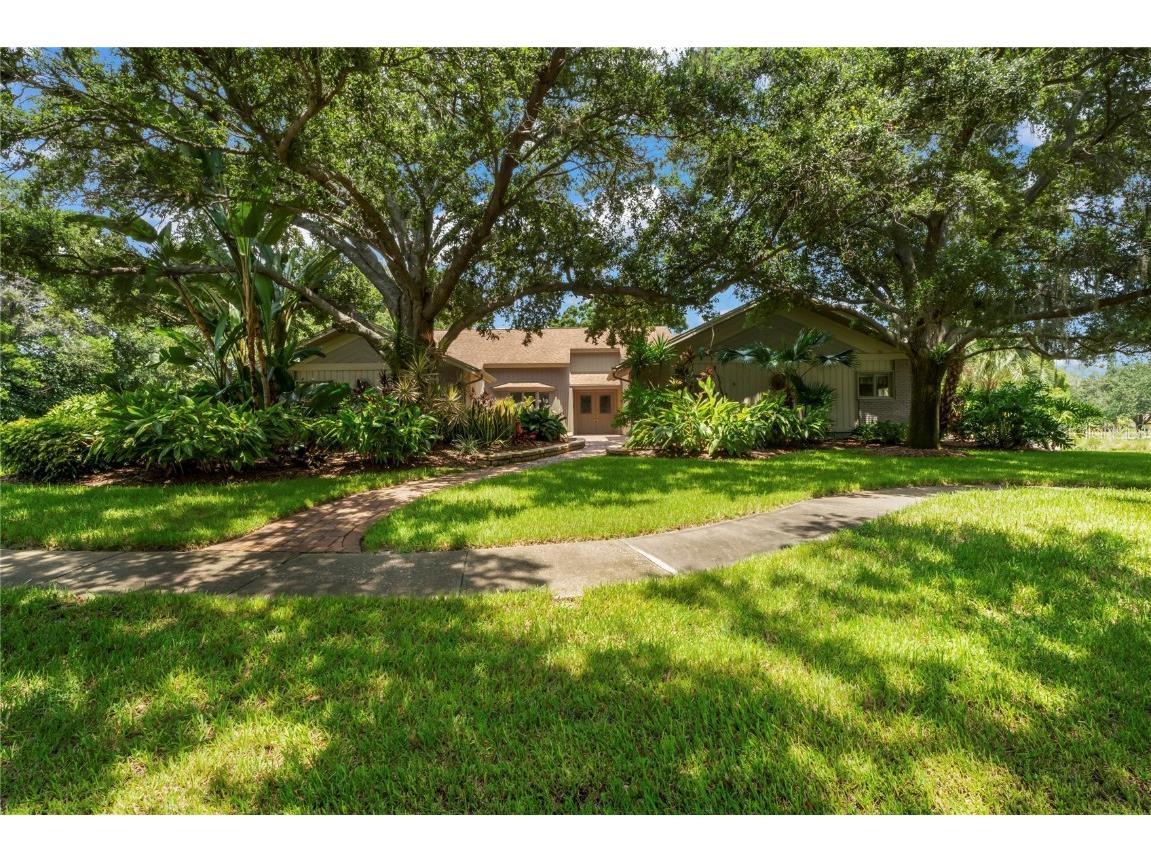 3261 Autumn Drive Palm Harbor FL 34683 W7866912 image1