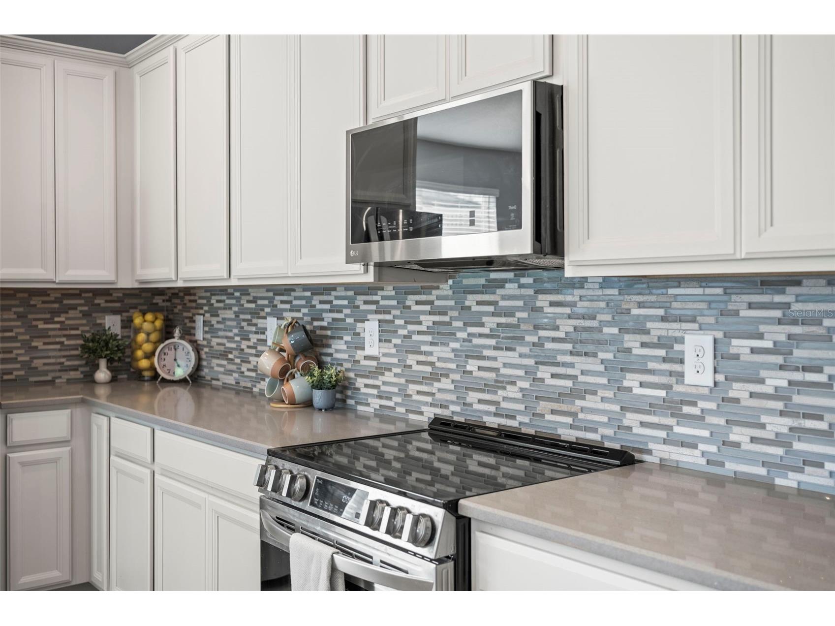3261 Bethpage Loop Mount Dora FL 32757 O6400008 image13