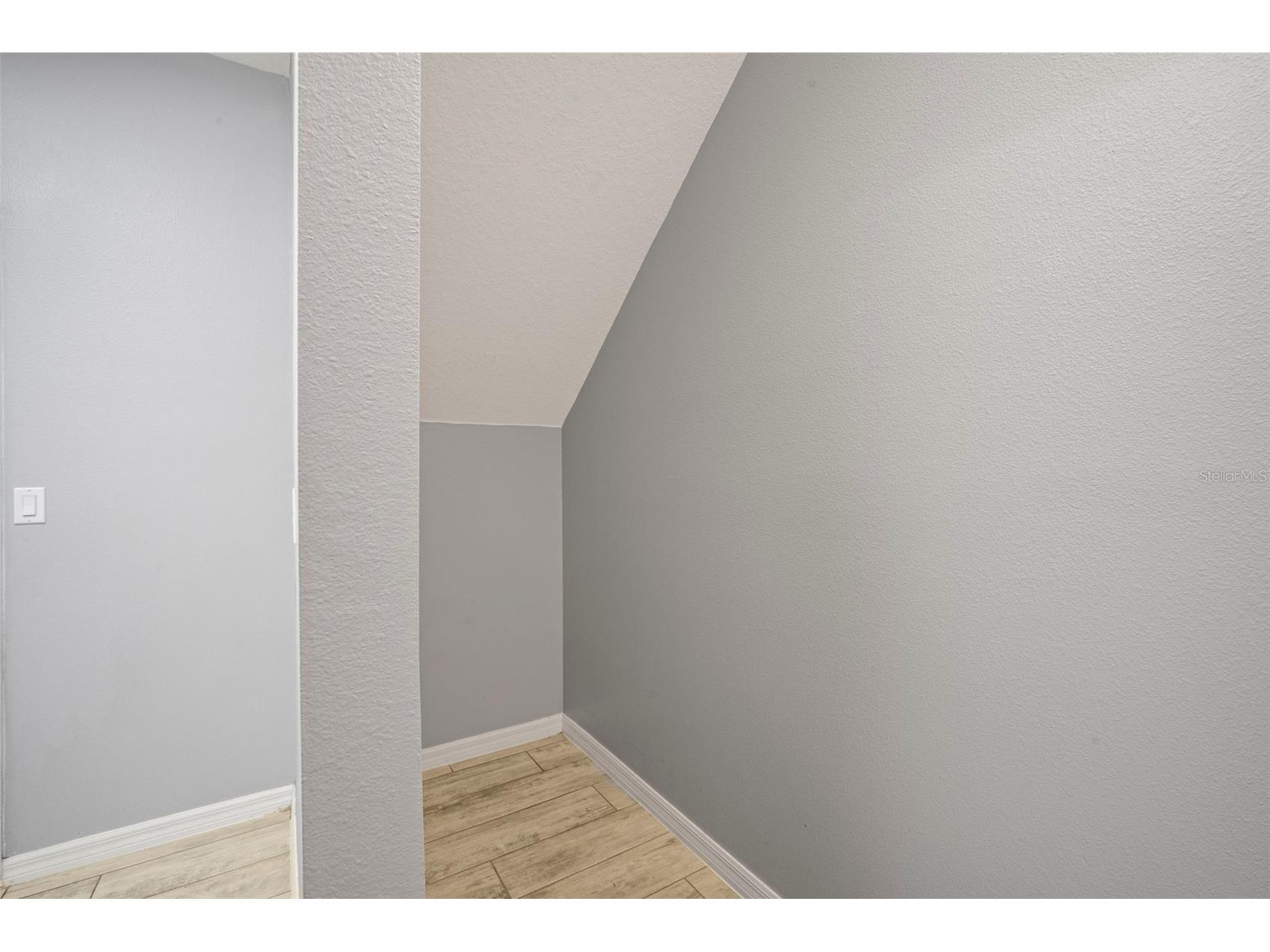 3261 Bethpage Loop Mount Dora FL 32757 O6400008 image44
