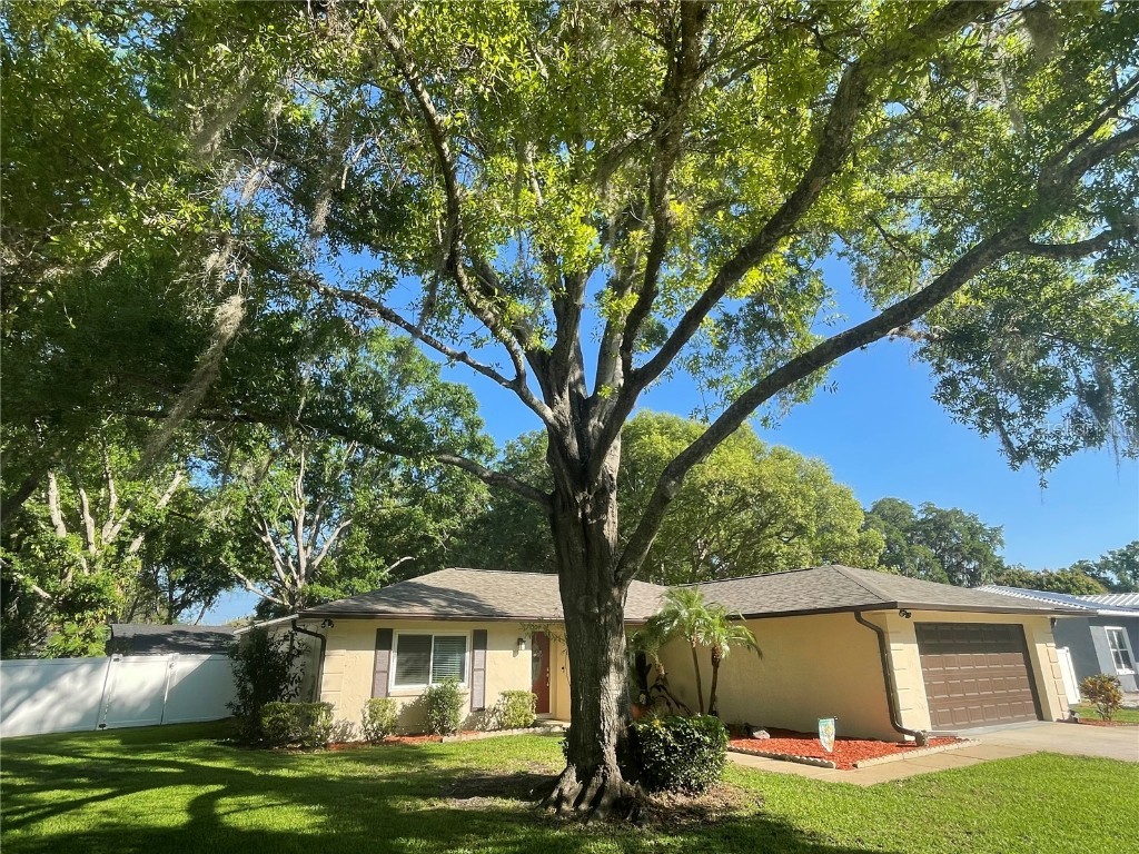 3261 Grove Place Land O Lakes FL 34639 U8195539 image1