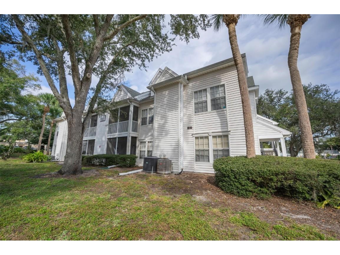 3261 Haviland Court #203 Palm Harbor FL 34684 W7881130 image1